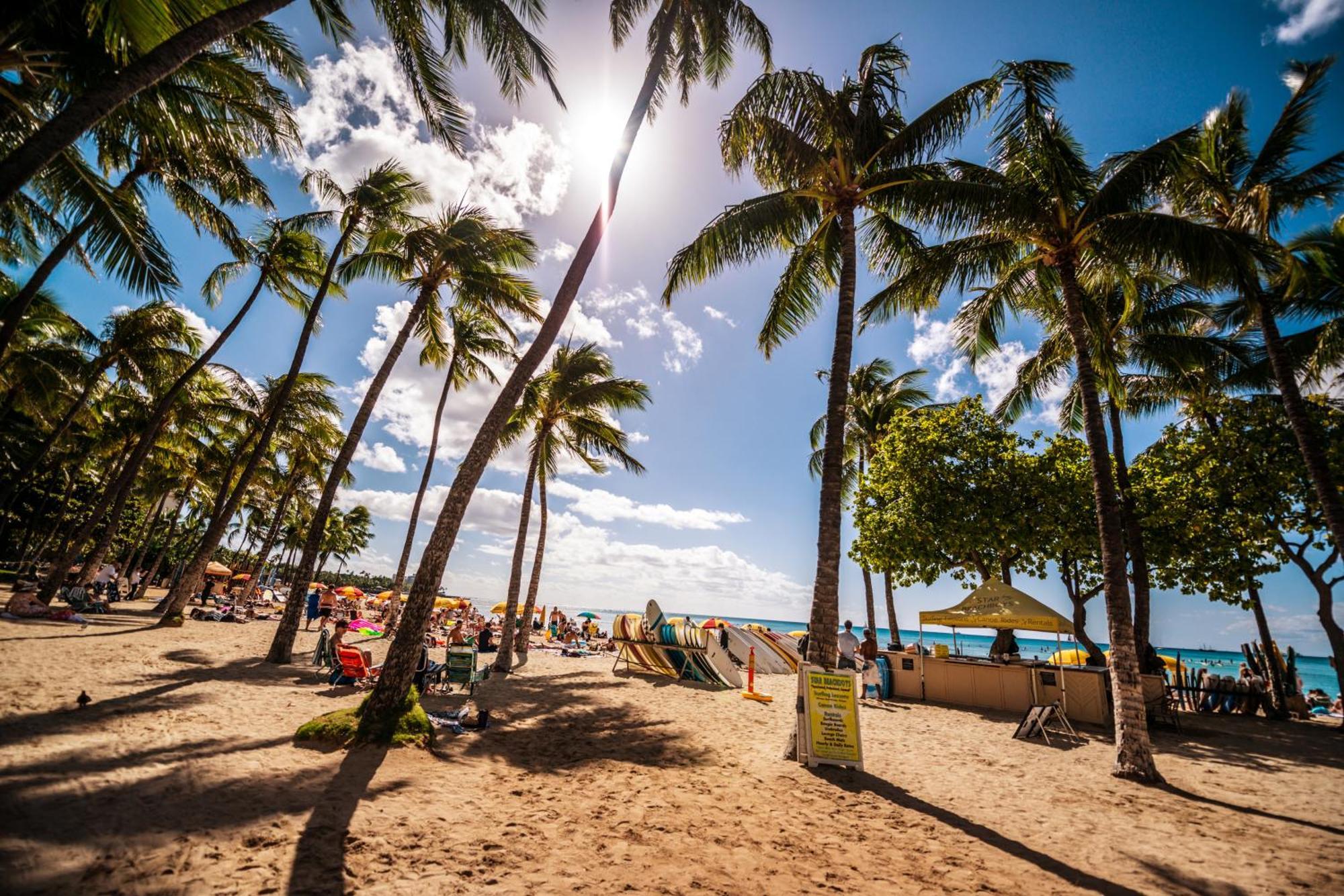 Mountain View Condo Near Beach With Free Parking! Honolulu Exteriér fotografie