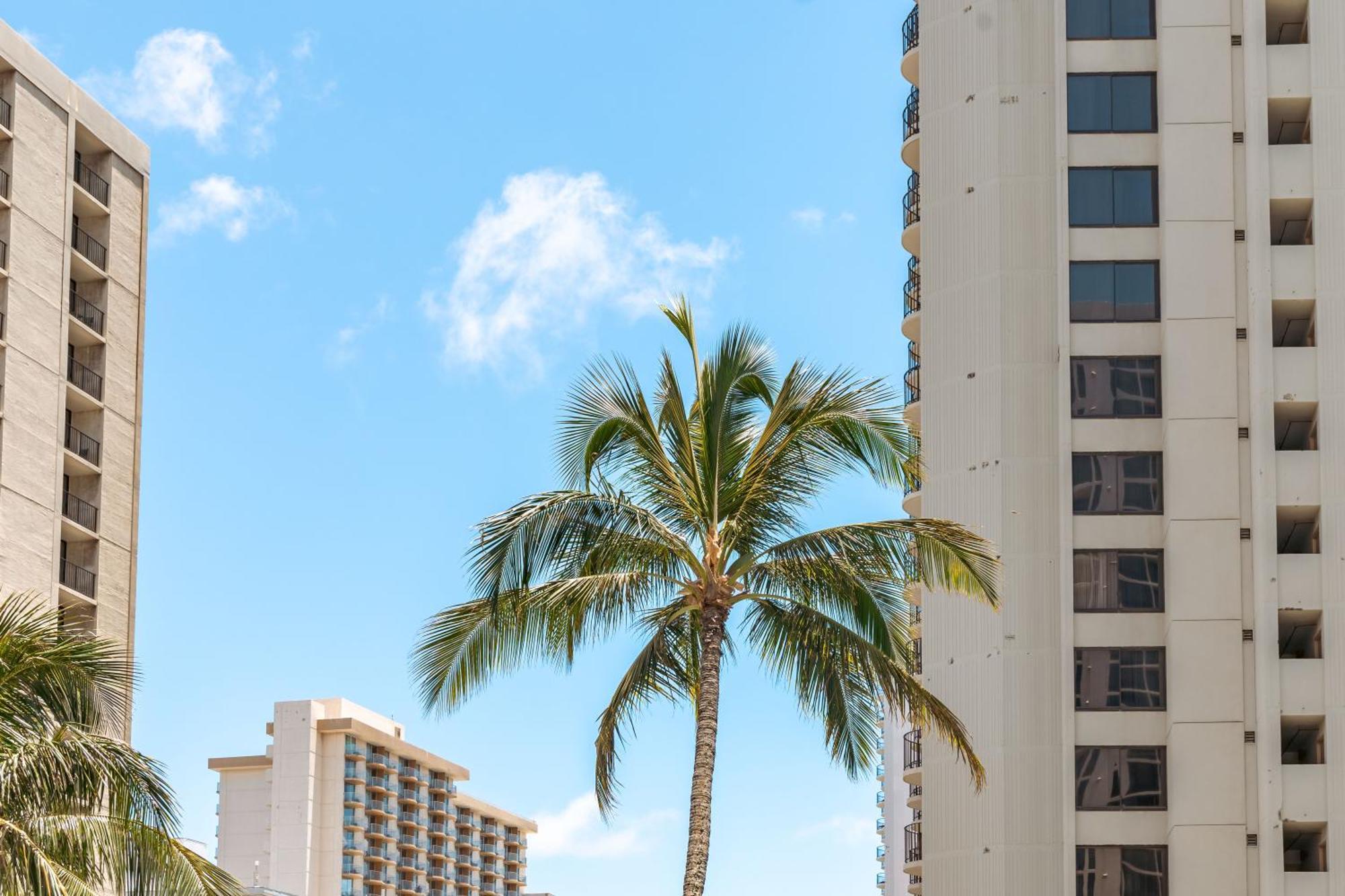 Mountain View Condo Near Beach With Free Parking! Honolulu Exteriér fotografie